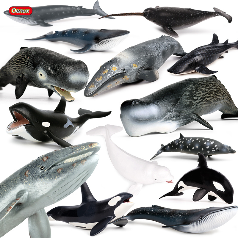 Kids Without Education - Oenux Oceaan Dier Savage Megalodon Beluga