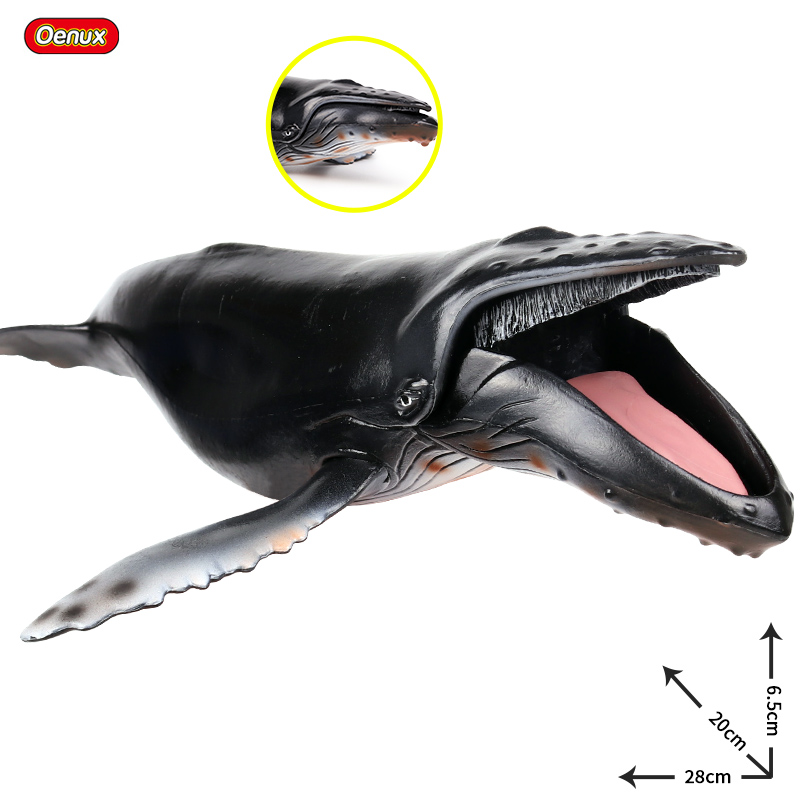 Oenux Sea Life Savage Megalodo - Kids Without Education recensie en prijs