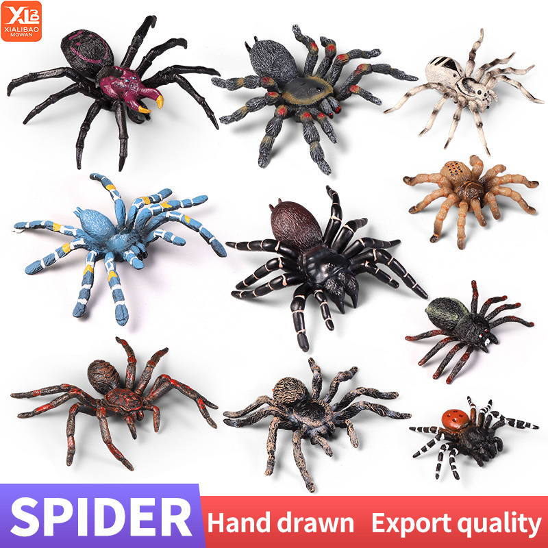 Educatief Insect Spider Speelg - Kids Education Learn Tv recensie en prijs