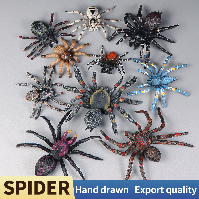 Educatief Insect Spider Speelg - Kids Education Learn Tv recensie en prijs