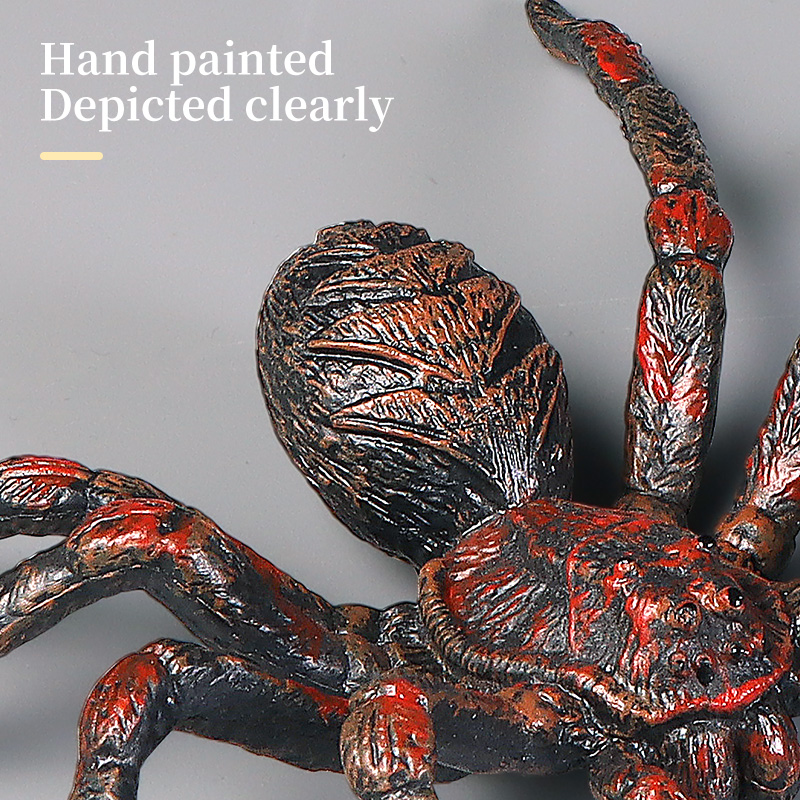 Educatief Insect Spider Speelg - Kids Education Learn Tv recensie en prijs