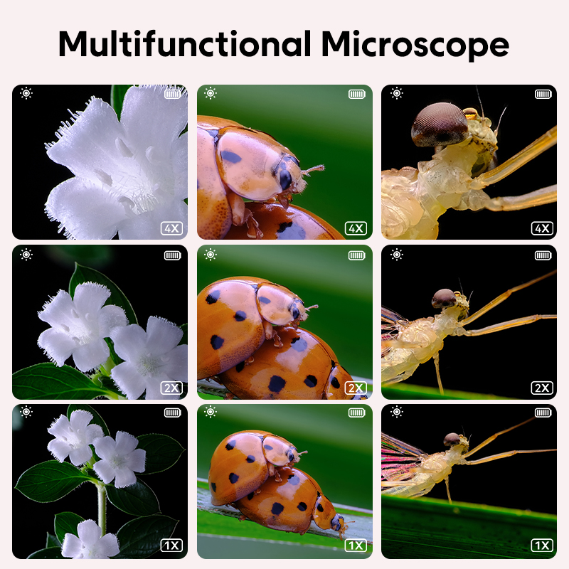 Mini optische microscoop voor  - Kids Educational Videos recensie en prijs