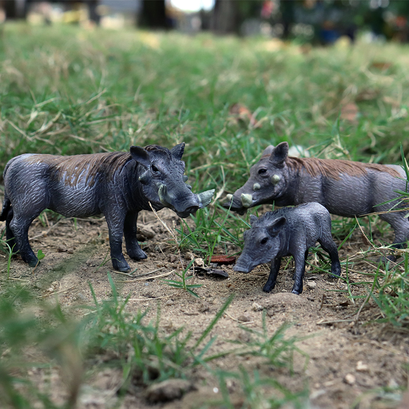 Oenux Wild Zwijn Tapirus Indic - Kids Without Education recensie en prijs