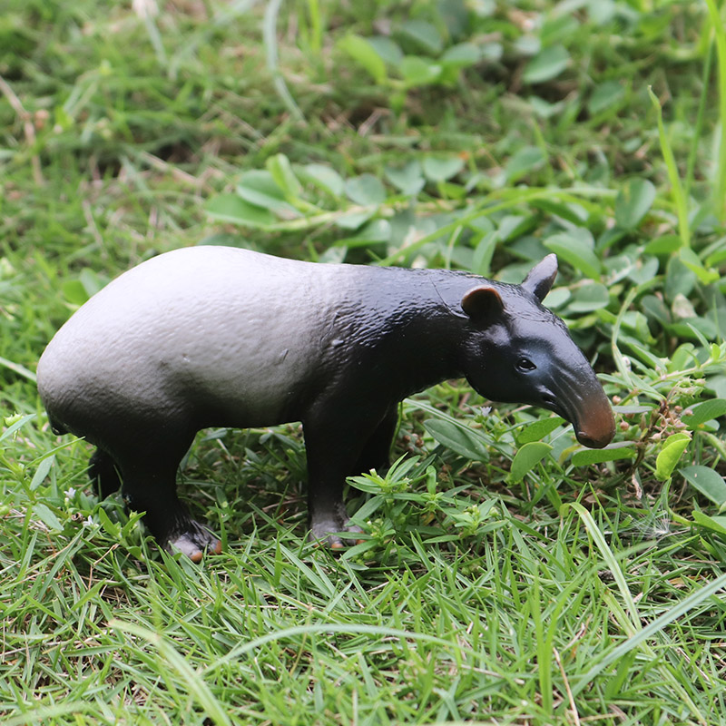 Oenux Wild Zwijn Tapirus Indic - Kids Without Education recensie en prijs